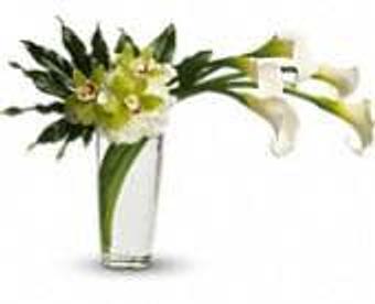 Product - Petals and Leaves in Columbus, OH Shopping & Shopping Services