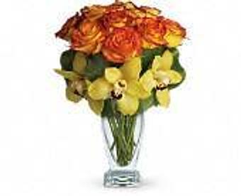 Product - Petals and Leaves in Columbus, OH Shopping & Shopping Services