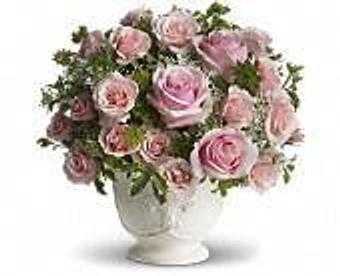 Product - Petals and Leaves in Columbus, OH Shopping & Shopping Services