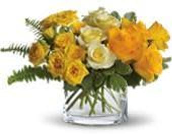 Product - Petals and Leaves in Columbus, OH Shopping & Shopping Services