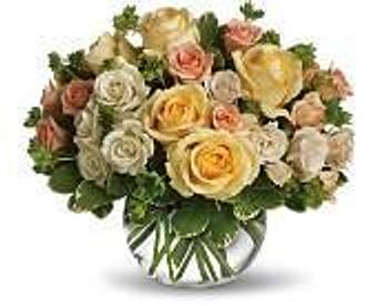 Product - Petals and Leaves in Columbus, OH Shopping & Shopping Services