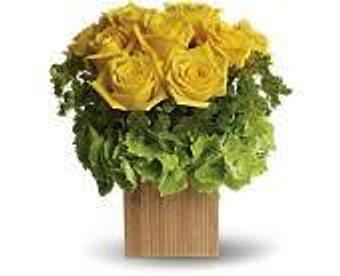 Product - Petals and Leaves in Columbus, OH Shopping & Shopping Services