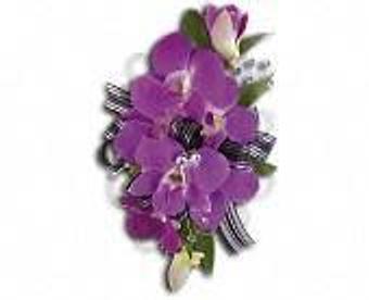 Product - Petals and Leaves in Columbus, OH Shopping & Shopping Services