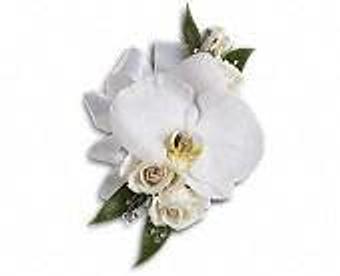 Product - Petals and Leaves in Columbus, OH Shopping & Shopping Services