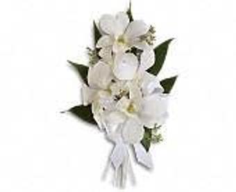 Product - Petals and Leaves in Columbus, OH Shopping & Shopping Services