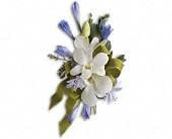 Product - Petals and Leaves in Columbus, OH Shopping & Shopping Services