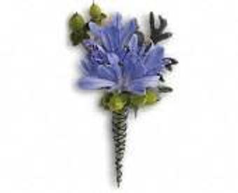 Product - Petals and Leaves in Columbus, OH Shopping & Shopping Services