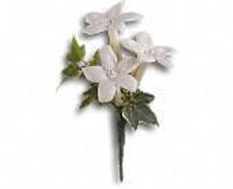 Product - Petals and Leaves in Columbus, OH Shopping & Shopping Services