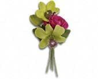 Product - Petals and Leaves in Columbus, OH Shopping & Shopping Services