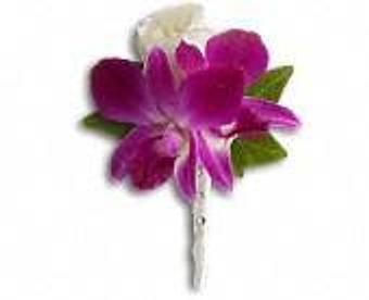 Product - Petals and Leaves in Columbus, OH Shopping & Shopping Services