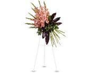 Product - Petals and Leaves in Columbus, OH Shopping & Shopping Services