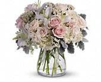 Product - Petals and Leaves in Columbus, OH Shopping & Shopping Services