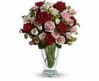 Product - Petals and Leaves in Columbus, OH Shopping & Shopping Services