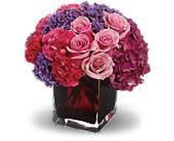 Product - Petals and Leaves in Columbus, OH Shopping & Shopping Services