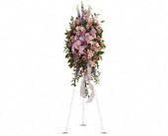 Product - Petals and Leaves in Columbus, OH Shopping & Shopping Services