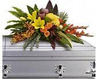 Product - Petals and Leaves in Columbus, OH Shopping & Shopping Services