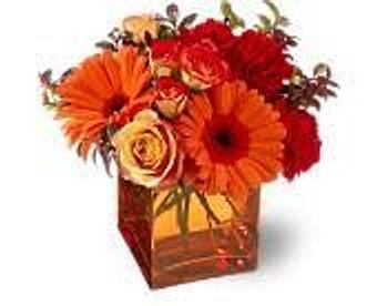 Product - Petals and Leaves in Columbus, OH Shopping & Shopping Services