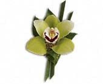 Product - Petals and Leaves in Columbus, OH Shopping & Shopping Services