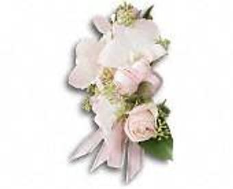 Product - Petals and Leaves in Columbus, OH Shopping & Shopping Services