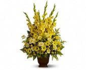 Product - Petals and Leaves in Columbus, OH Shopping & Shopping Services