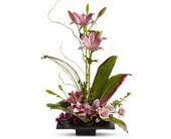 Product - Petals and Leaves in Columbus, OH Shopping & Shopping Services