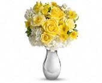 Product - Petals and Leaves in Columbus, OH Shopping & Shopping Services