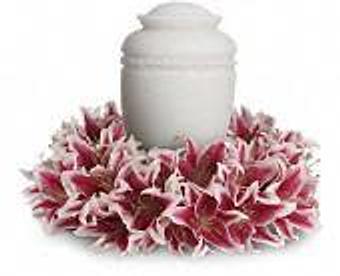 Product - Petals and Leaves in Columbus, OH Shopping & Shopping Services