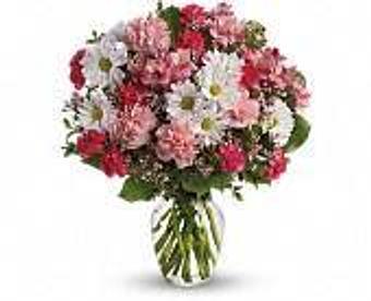 Product - Petals and Leaves in Columbus, OH Shopping & Shopping Services