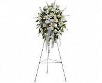 Product - Petals and Leaves in Columbus, OH Shopping & Shopping Services