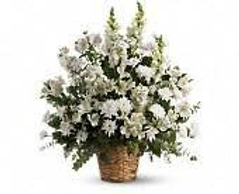 Product - Petals and Leaves in Columbus, OH Shopping & Shopping Services