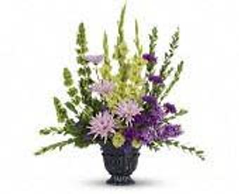 Product - Petals and Leaves in Columbus, OH Shopping & Shopping Services