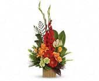 Product - Petals and Leaves in Columbus, OH Shopping & Shopping Services