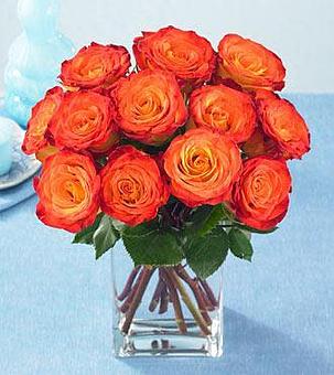 Product - Petals and Leaves in Columbus, OH Shopping & Shopping Services