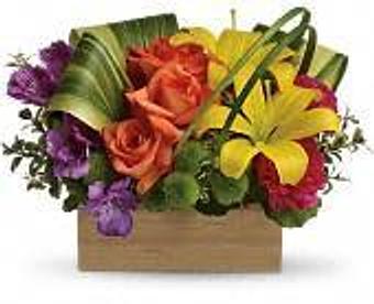 Product - Petals and Leaves in Columbus, OH Shopping & Shopping Services