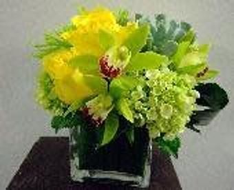 Product - Petals and Leaves in Columbus, OH Shopping & Shopping Services