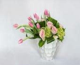 Product - Petals and Leaves in Columbus, OH Shopping & Shopping Services