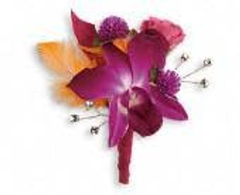 Product - Petals and Leaves in Columbus, OH Shopping & Shopping Services