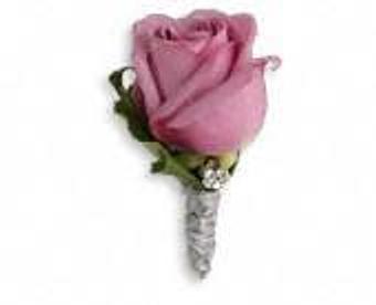 Product - Petals and Leaves in Columbus, OH Shopping & Shopping Services