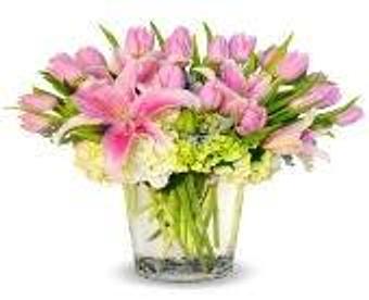 Product - Petals and Leaves in Columbus, OH Shopping & Shopping Services