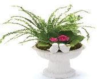 Product - Petals and Leaves in Columbus, OH Shopping & Shopping Services