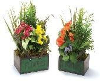 Product - Petals and Leaves in Columbus, OH Shopping & Shopping Services