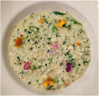 Product - Piazza D'Angelo in Downtown Mill Valley - Mill Valley, CA Italian Restaurants