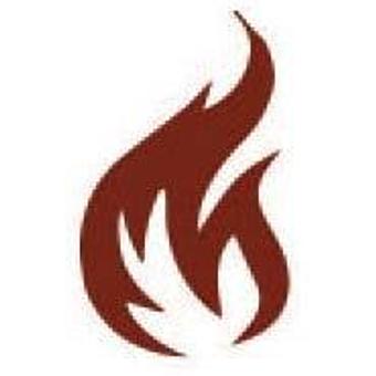 Product - Piccino Wood Oven Pizza in Littleton, CO Pizza Restaurant