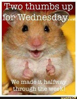 Product - Piccola Italia Pizza and Restaurant in Raleigh, NC Italian Restaurants