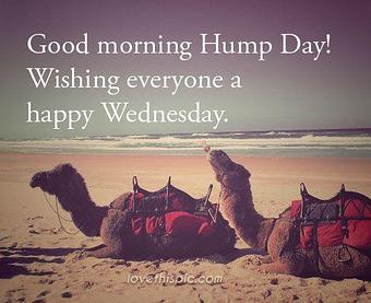 Product - Piccola Italia Pizza and Restaurant in Raleigh, NC Italian Restaurants