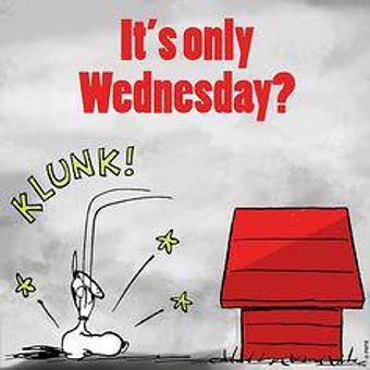 Product - Piccola Italia Pizza and Restaurant in Raleigh, NC Italian Restaurants