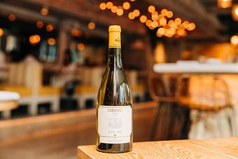 Product - Pizzeria Portofino in Chicago, IL Pizza Restaurant