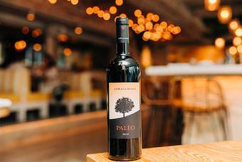 Product - Pizzeria Portofino in Chicago, IL Pizza Restaurant