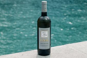 Product - Pizzeria Portofino in Chicago, IL Pizza Restaurant