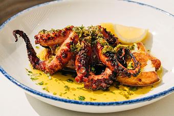 Product: red wine braised & grilled octopus, finished with portofino oil and smashed lemon potatoes - Pizzeria Portofino in Chicago, IL Pizza Restaurant